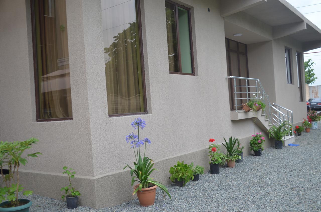 Lia Guest House كوبوليتي المظهر الخارجي الصورة
